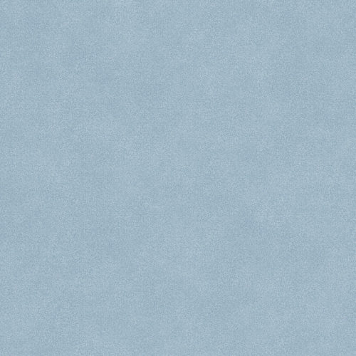 Denim Surface  5315